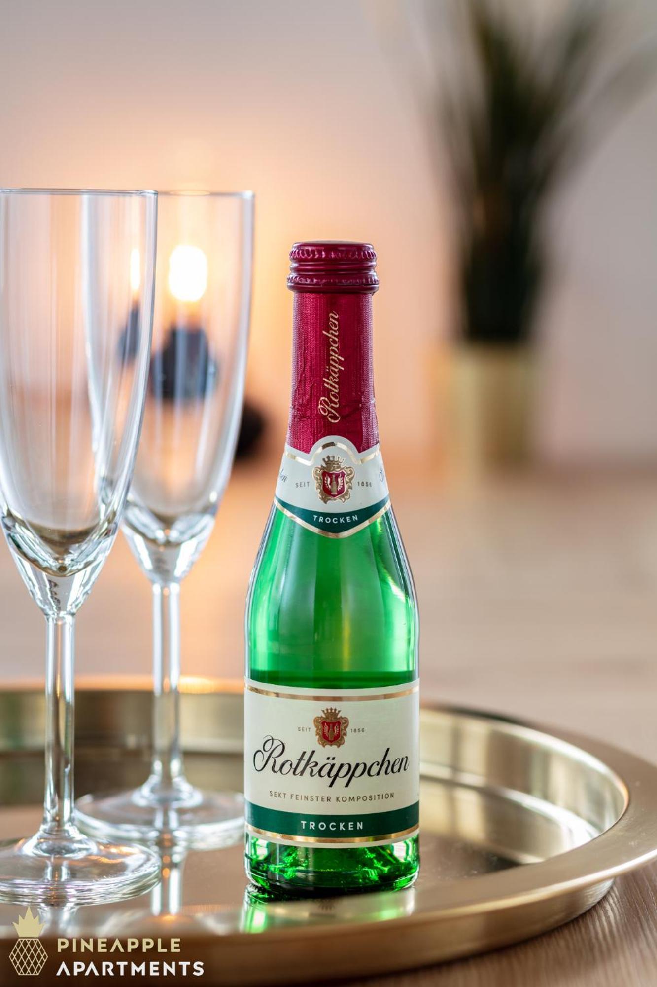 Pineapple Apartments Dresden Mitte - Free Parking Екстер'єр фото